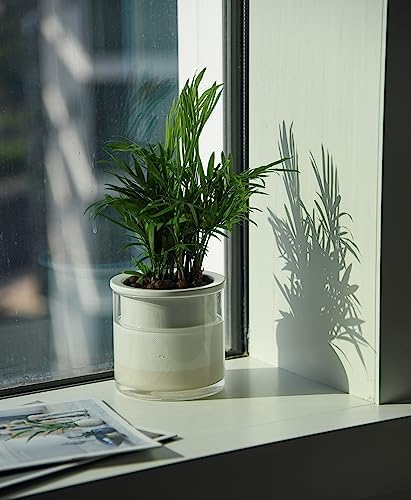 Phoenix Vine 4 Inch Self Watering Planter Pot, Design White Terracotta Pots for Plants, Indoor Cylinder Terra Cotta Pots with Glass Vase, Set of 1, 51-B-E-1