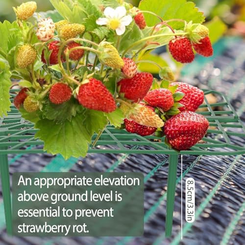 6 Sets Strawberry Plant Support with Mesh Plant Cover,Strawberry