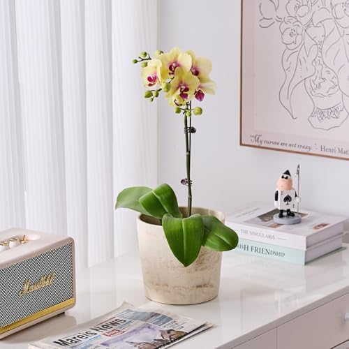 Ekirlin 7 Inch Natural Travertine Textures Plant Pot, Resin Outdoor