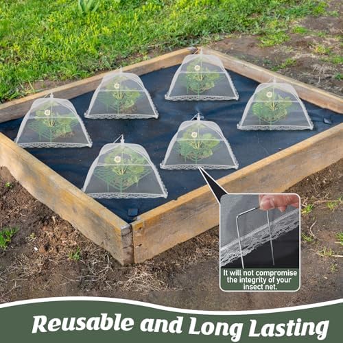 6 Sets Strawberry Plant Support with Mesh Plant Cover,Strawberry