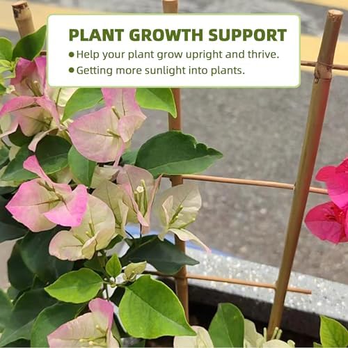 16Inch 5Pack Bamboo Trellis for Climbing Plants, Garden Ladder Trellis