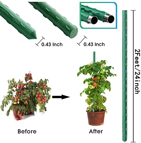 2Feet 24inch Garden Stakes Sturdy Plant Sticks Support Tomato Stakes