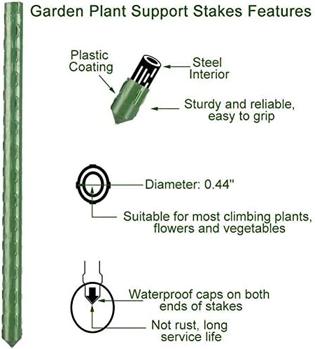 2Feet 24inch Garden Stakes Sturdy Plant Sticks Support Tomato Stakes