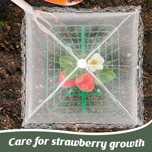 6 Sets Strawberry Plant Support with Mesh Plant Cover,Strawberry