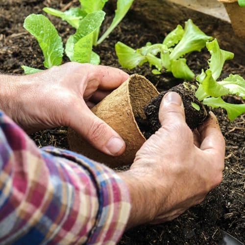 100 Pack 4 Inch Peat Pots, Biodegradable Seed Starter Pots with