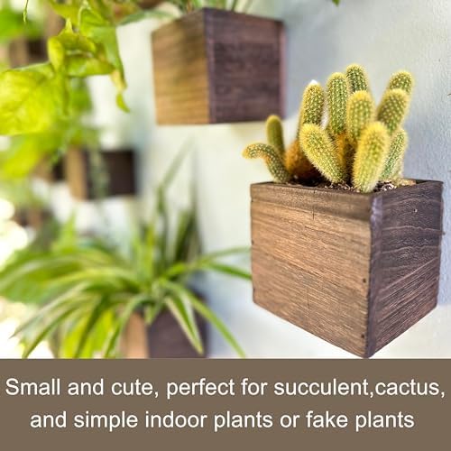 LaLaGreen Planter Boxes for Indoor Plant (4x4, 6 Pack) Wooden Wall Planters