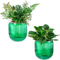Melphoe Self Watering Pots for Indoor Plants Planter, 4.3 Inch 2 Pack
