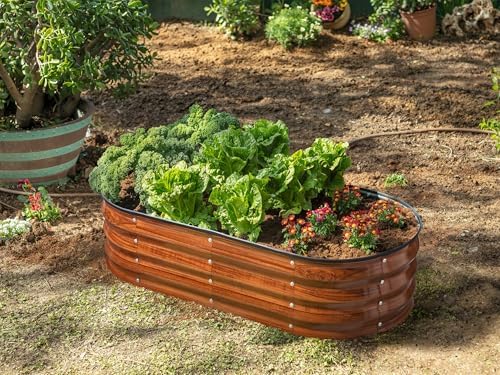Plant & Plot Galvanized Raised Garden Beds Outdoor // 4×2×1 ft (2-Pack) Planter Raised Beds for Gardening, Vegetables, Flowers (Dark Wood Grain) // Large Metal Garden Box