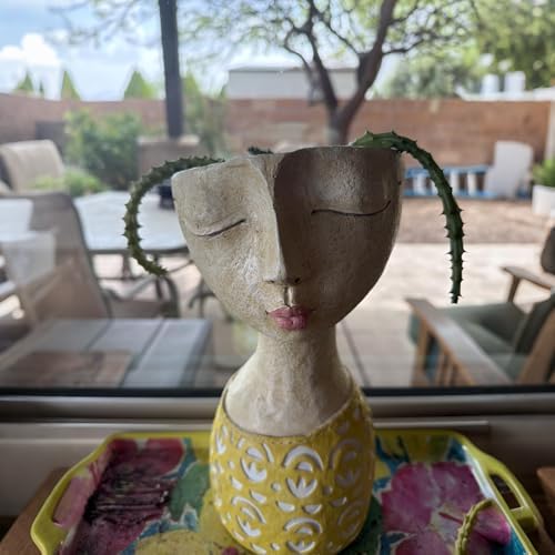 DiliComing Face Planter-Pots for Indoor Plants - 11 Inch Tall Planters