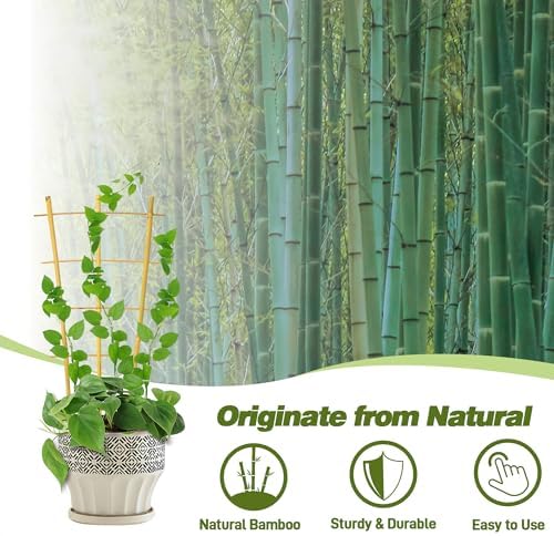 Avalution 10 Pack Bamboo Trellis for Climbing Plants 16" Natural