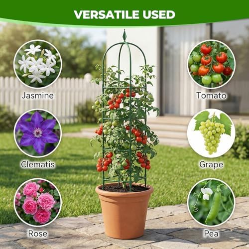 2 Pack Garden Obelisk Trellis for Climbing Plants, 6 FT Metal Rustproof Plant Support Rose Trellis, Tower Potted Cages for Flowers Fruits Vegetable Vines Indoor & Outdoor, Green(4 Tiers)