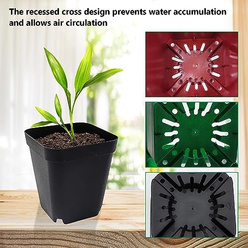 RooTrimmer Square Plastic Nursery Pot 3" 120 Pcs Deep Succulent Pots