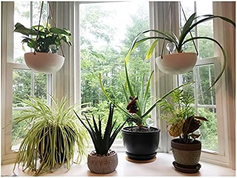 Irrmshr 10 Pack Clear Plant Watering Globes,Plastic Self Watering Bulbs for Indoor Plants,Garden Water Device Automatic Plant Waterer Indoor Outdoor