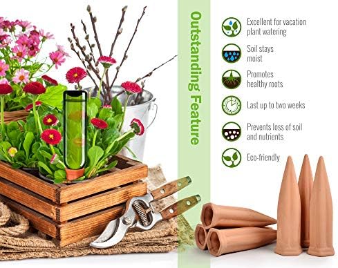 B SEPOR Ceramic Plant Waterer Terracotta Self Watering Spikes for