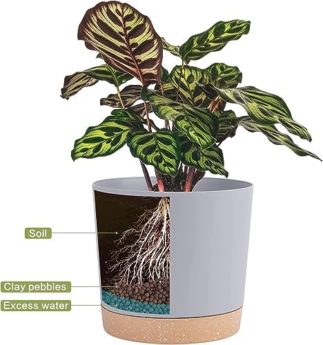 QCQHDU 10 inch Plant Pot, 2 Pack Planters for Indoor Plants with