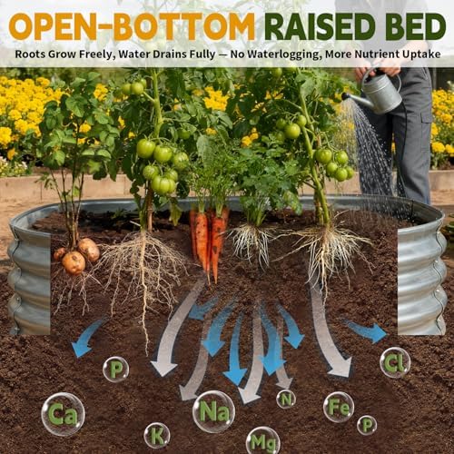 Galvanized Raised Garden Bed Outdoor, Large Raised Bed for Gardening, 2Pcs 4x2x1ft Oval Metal Planter Box for Vegetables, Fruits, Flowers, Silver