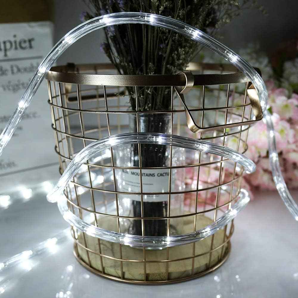 100ft LED Rope Lights, 720Led White Rope Lights for Outside, Connectable Rope Light, Indoor Outdoor Rope Lights Waterproof for Party, Wedding, Background, Trees, Pool, Eaves Decorations