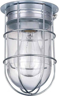 Canarm Outdoor Silver Barn Light, Industrial Wall or Ceiling Mount Sconce, 7-Inch Damp Rated Fixture for Porch, Patio, or Entryway