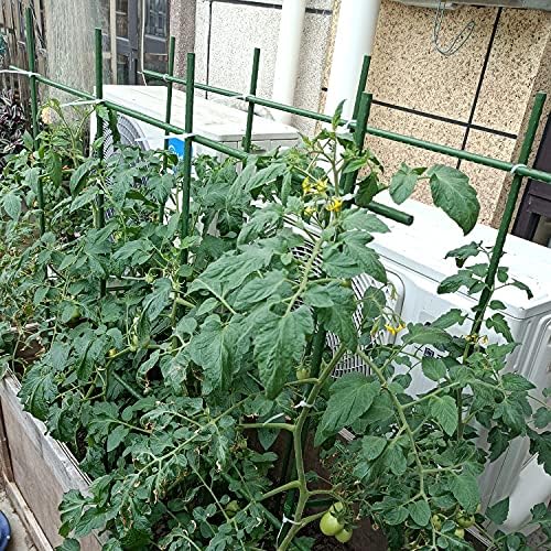 2Feet 24inch Garden Stakes Sturdy Plant Sticks Support Tomato Stakes