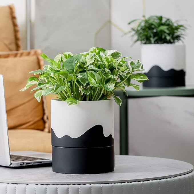 Nihow Self Watering Plant Pot: 6 Inch Ceramic Planter - Image 5