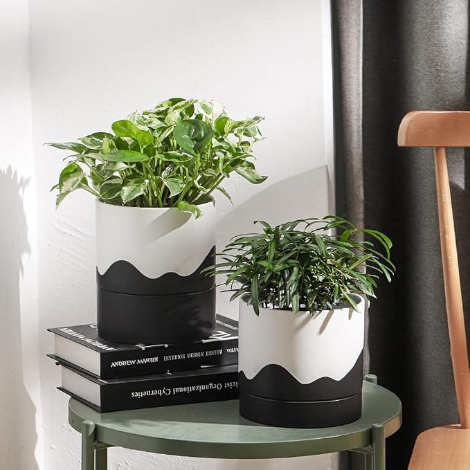 Nihow Self Watering Plant Pot: 6 Inch Ceramic Planter - Image 6