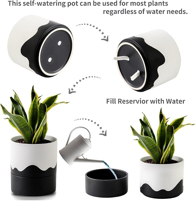 Nihow Self Watering Plant Pot: 6 Inch Ceramic Planter - Image 3