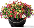 Artificial Flowers for Indoor & Outdoor Decoration - 12 Bundles Faux Daisies with Eucalyptus Leaves Fake Greenery for Garden, Home, Porch, Patio, Boxwood (12 Pcs Mix Pink Red Purple Yellow)