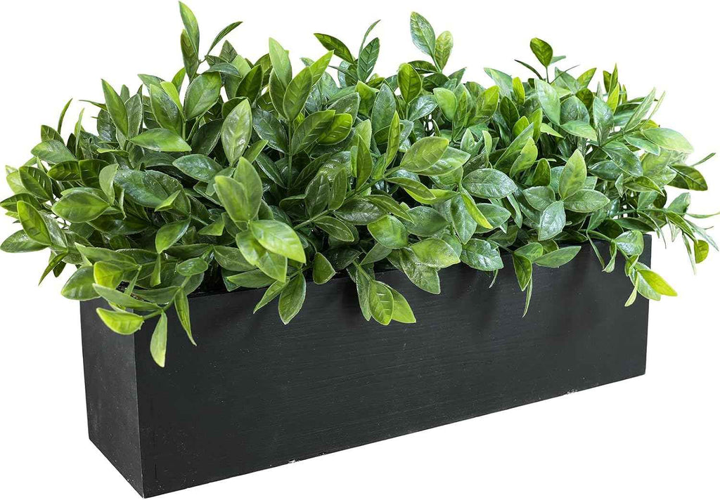 Winlyn 14" Artificial Boxwood Plant Greenery Arrangement Faux Boxwood in Black Rectangular Wooden Planter Potted Herb Plant for Farmhouse Home Decor Wedding Windowsill Mantel Shelf Table Centerpiece