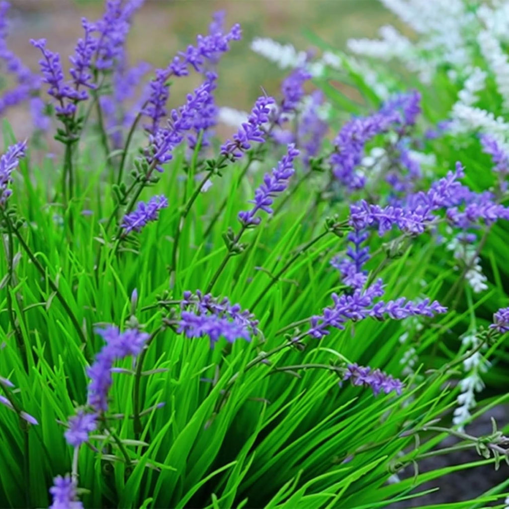 12 Bundles Artificial Grass Fake Plants，Outdoor Fake Monkey Tail Grass with Flowers for Pot UV Resistant Lavender Patio Garden Porch Home Window Hanging Planter Decor Faux Plastic Shrubs(Puper+Green)
