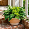 18 Bundles Artificial Greenery Plants, Outdoor Faux Bushes, UV Resistant Fake Plastic Leaves with Stems, Large Bunches for Patio, Garden & Yard Decor, Artificial Shrubs for Home, Outdoor Decoration