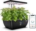 iDOO Hydroponics Growing System Kit 12Pods WiFi, Christmas Gifts by idoo