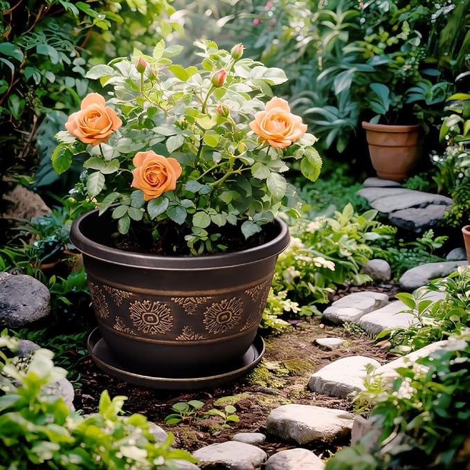 6 Pack 8 inch Plant Pots, Retro Pattern Planters - Image 6