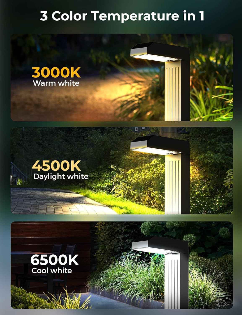 COXSENI Solar Pathway Lights Outdoor,3 Color Temperatures,20 LEDs,8 Pack | Clear Tempered Glass Solar Panel,IP65 Waterproof,Bright Led Landscape Lighting,Yard,Walkway,Driveway,Patio,Lawn,Auto On Off