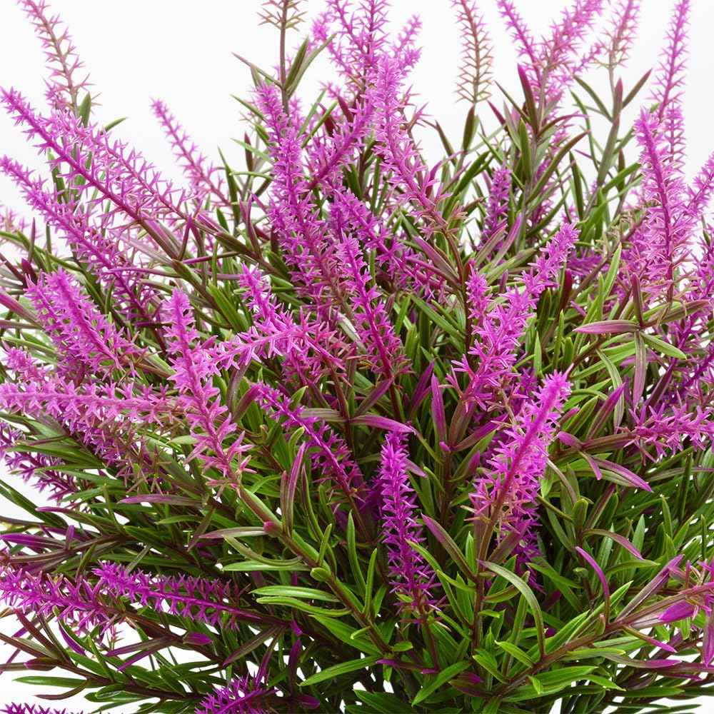 12 Bundles Outdoor Artificial Flowers Lavender Artificial Plants Fake Bushes Artificial Shrubs Greenery Plastic Outdoor UV Resistant Faux Lavender Purplish red