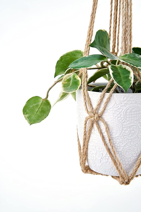 Dahey Macrame Plant Hanger Set of 3 - Image 5