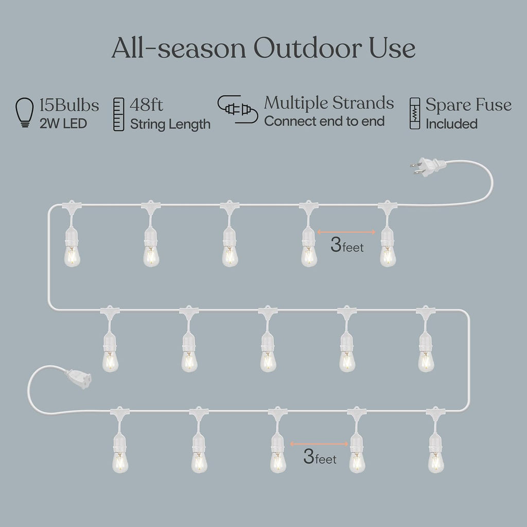 Brightech Ambience Pro Waterproof LED Outdoor String Lights, 48 Ft, Hanging, Dimmable Vintage Edison Bulbs, 15 Bulbs, 2W
