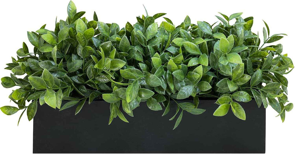 Winlyn 14" Artificial Boxwood Plant Greenery Arrangement Faux Boxwood in Black Rectangular Wooden Planter Potted Herb Plant for Farmhouse Home Decor Wedding Windowsill Mantel Shelf Table Centerpiece