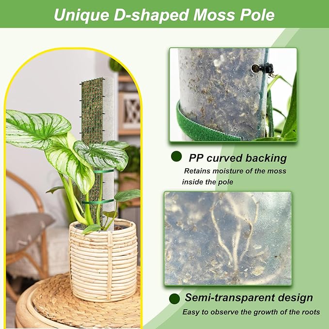 60"/40"/24" Metal Moss Pole, D Shape Sphagnum Moss Pole, Moss Poles - Image 2