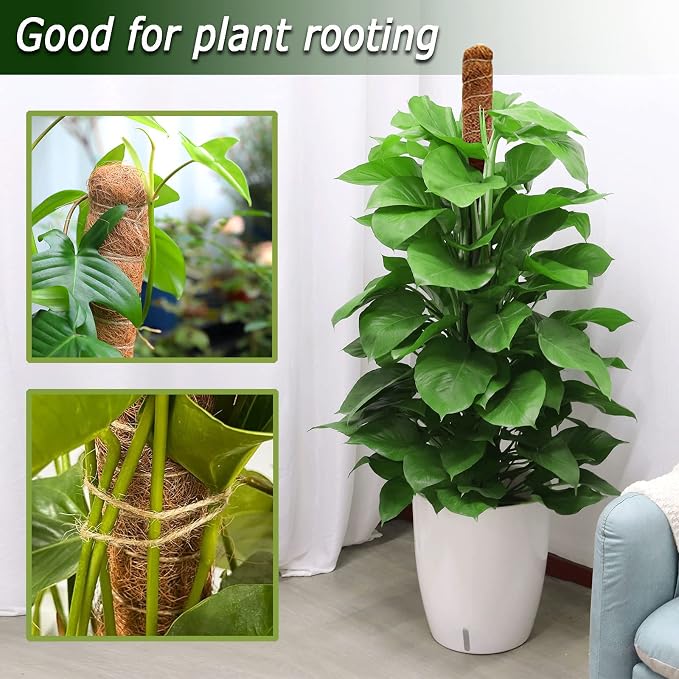 Moss Pole for Plants Monstera, 59 Inch Tall Bendable Moss Poles for Climbing - Image 6