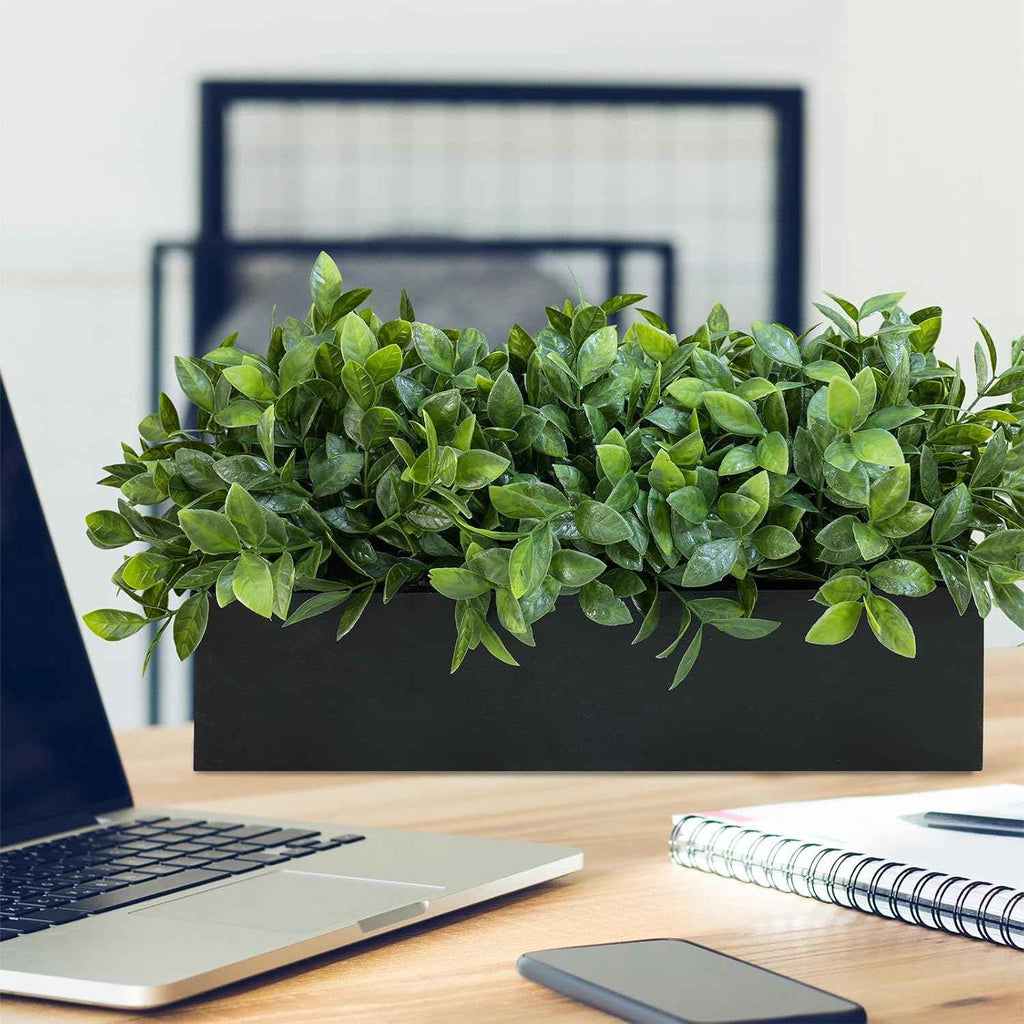 Winlyn 14" Artificial Boxwood Plant Greenery Arrangement Faux Boxwood in Black Rectangular Wooden Planter Potted Herb Plant for Farmhouse Home Decor Wedding Windowsill Mantel Shelf Table Centerpiece