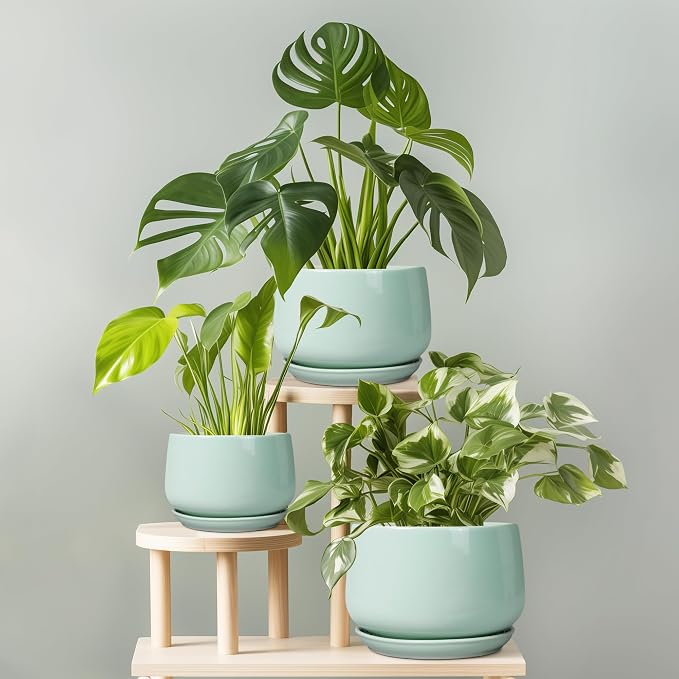 G EPGardening Ceramic Plant Pots - Image 7