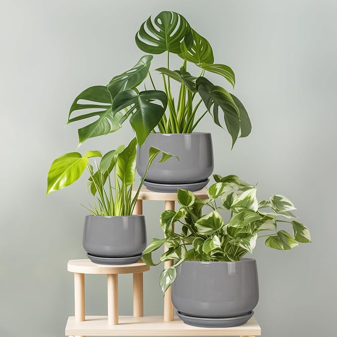 G EPGardening Ceramic Pot for Plants - Image 8
