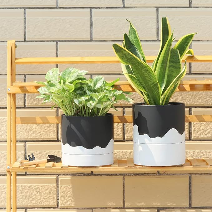 Nihow Self Watering Plant Pot: 6 Inch Ceramic Planter - Image 7