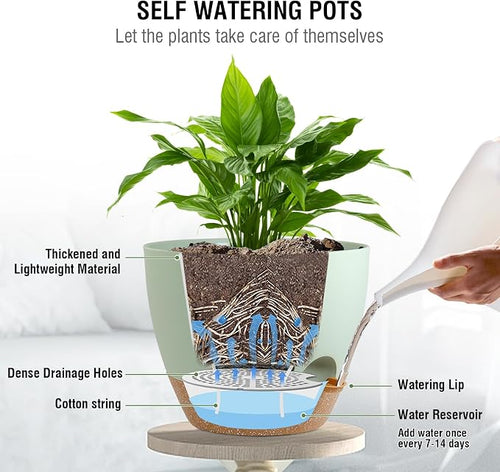 10 inch Self Watering Hanging Planters - Image 2