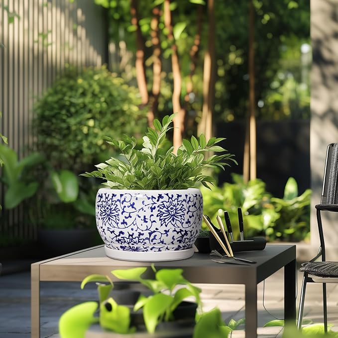 SQOWL Ceramic Pots for Plants - Image 5