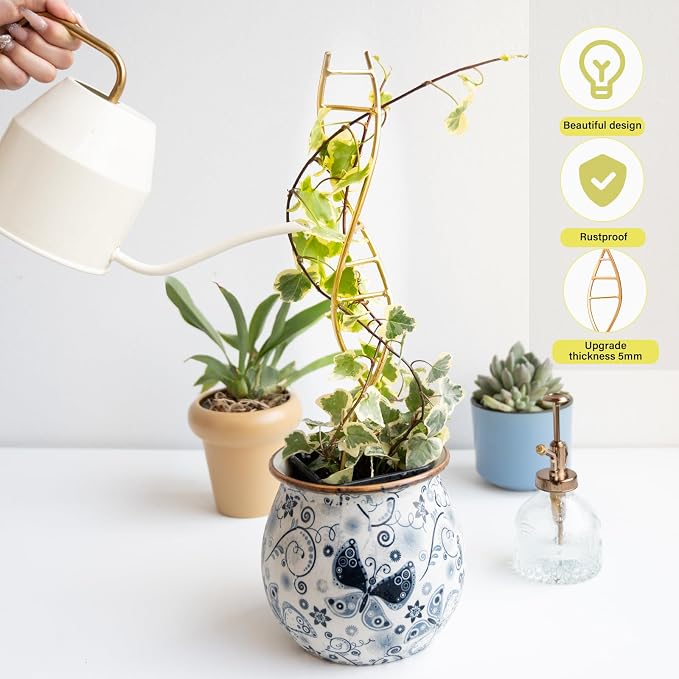 Indoor Plant Trellis for Potted Plants - Image 6