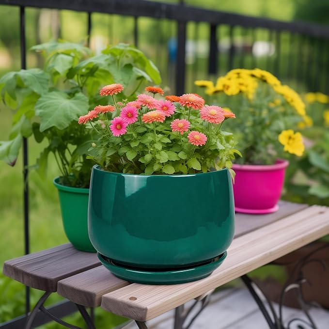 G EPGardening Ceramic Pots for Plants - Image 2