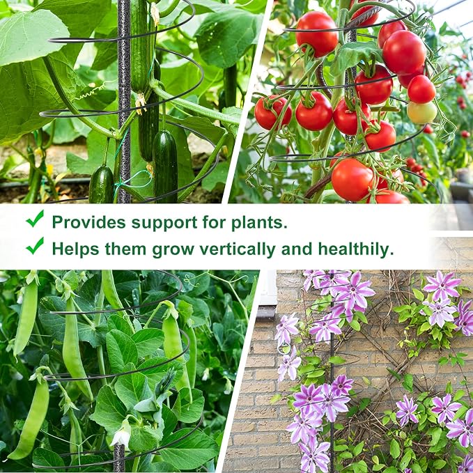 Spiral Trellis for Climbing Plants Outdoor, 45 Inch Tall Heavy Duty Metal - Image 4