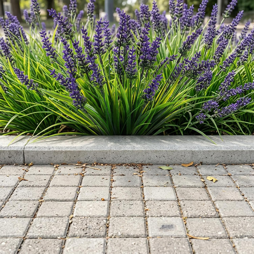 4 Bundles Fake Monkey Grass, 13.5inch UV Resistant Lavender, Faux Monkey Grass Greenery Stems, Artificial Lavender Flower for Pot Planter Filler Patio Garden Porch Decor, Purple Green
