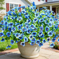 12 Bundles Artificial Flowers for Outdoors UV Resistant | Realistic Outdoor Artificial Fake Flowers with Eucalyptus Leaves for Porch, Patio, Planter, Window Box, Home, Garden Decor